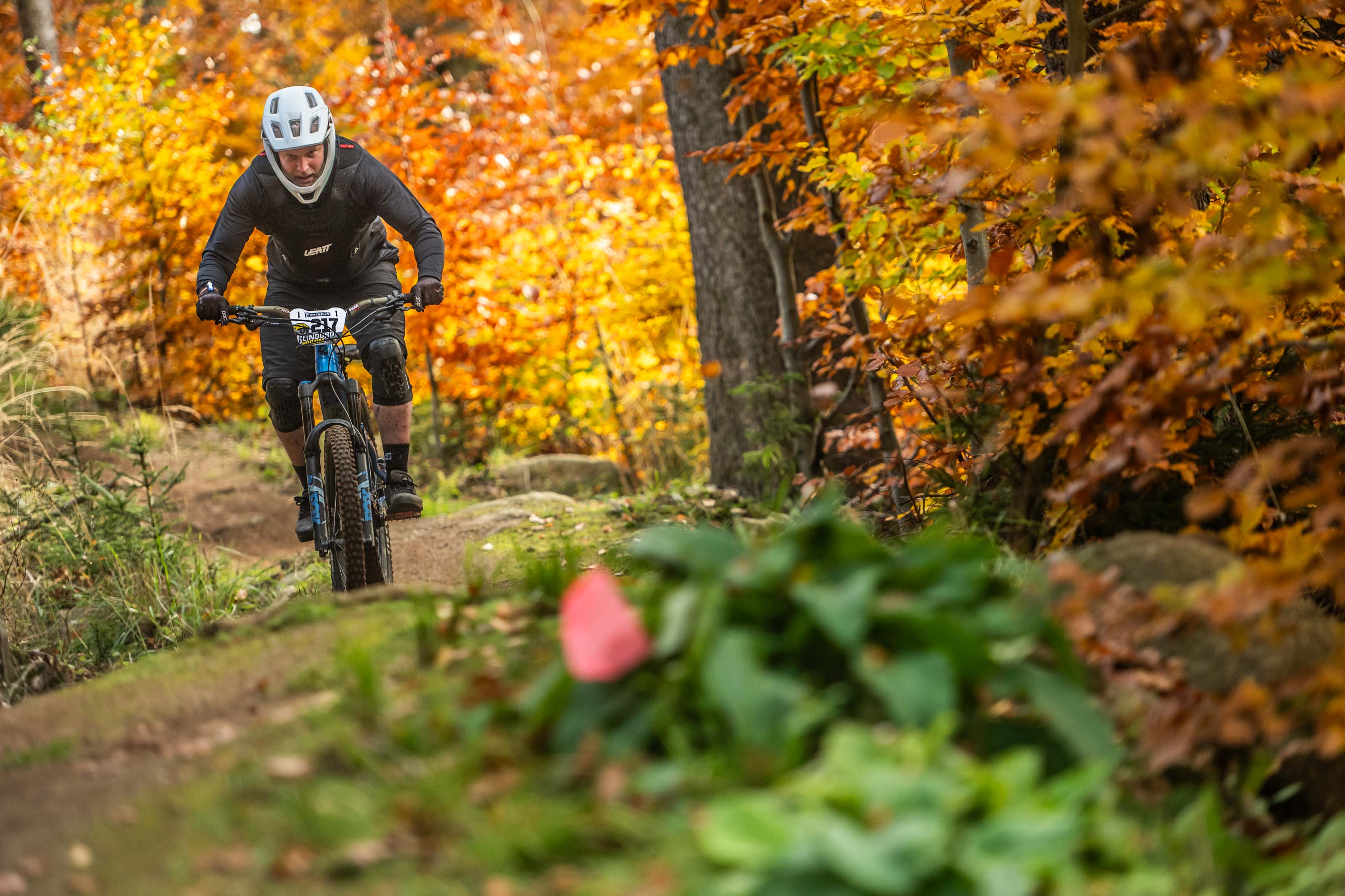 Modern skyscraper with glass facade