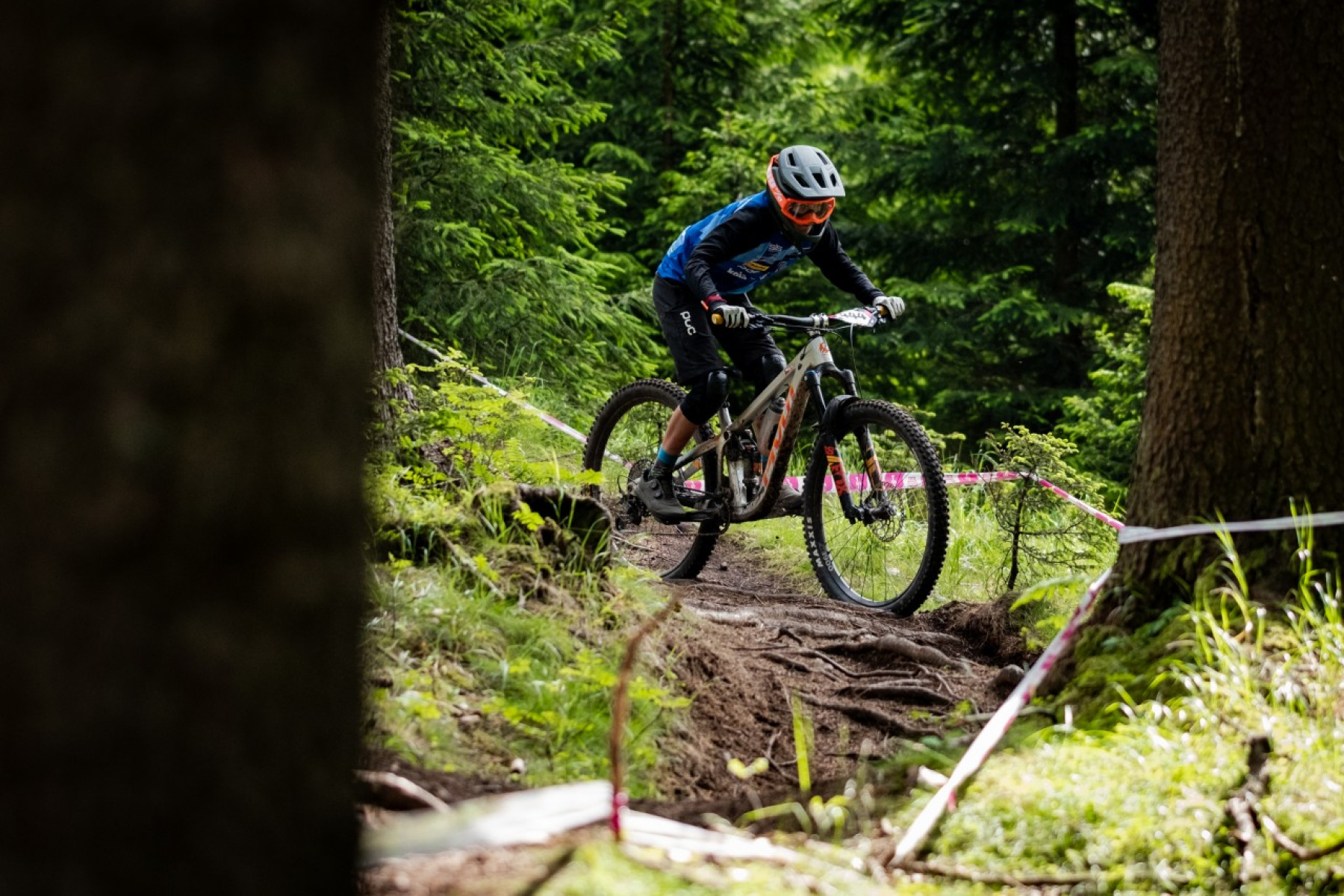Waterfall in a lush green setting