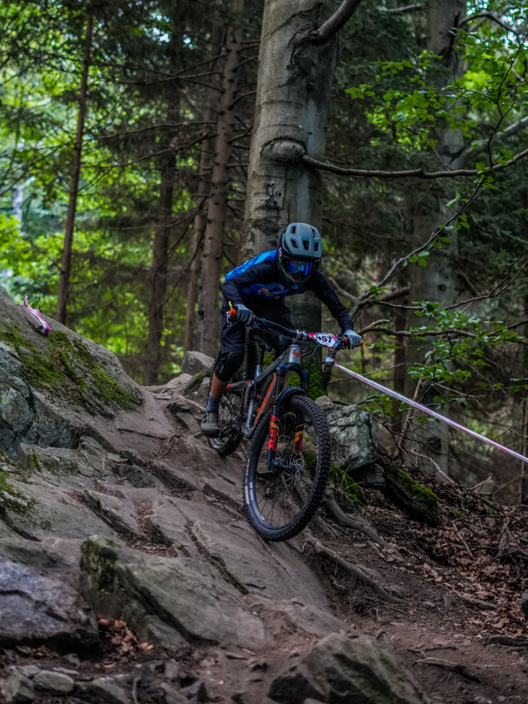 Desert landscape with cacti