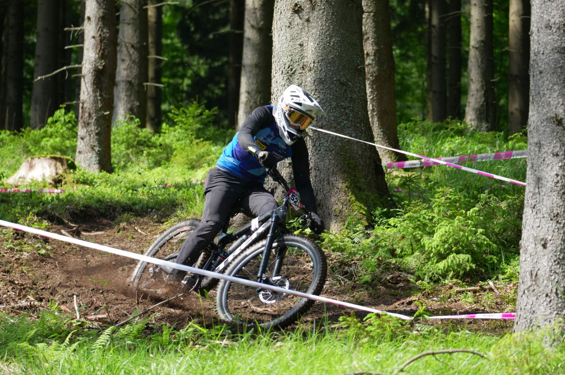 Snow-capped mountains