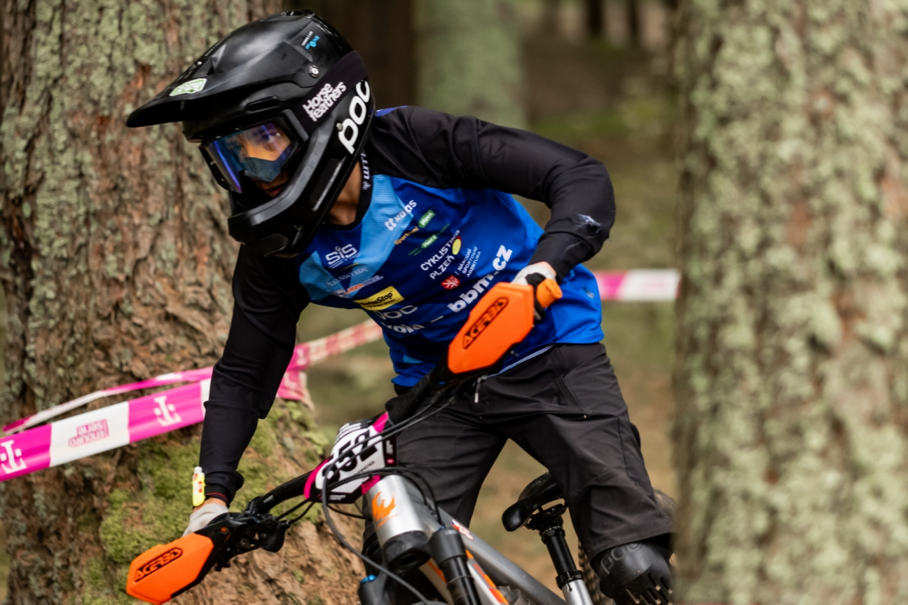 Forest with sunlight streaming through trees