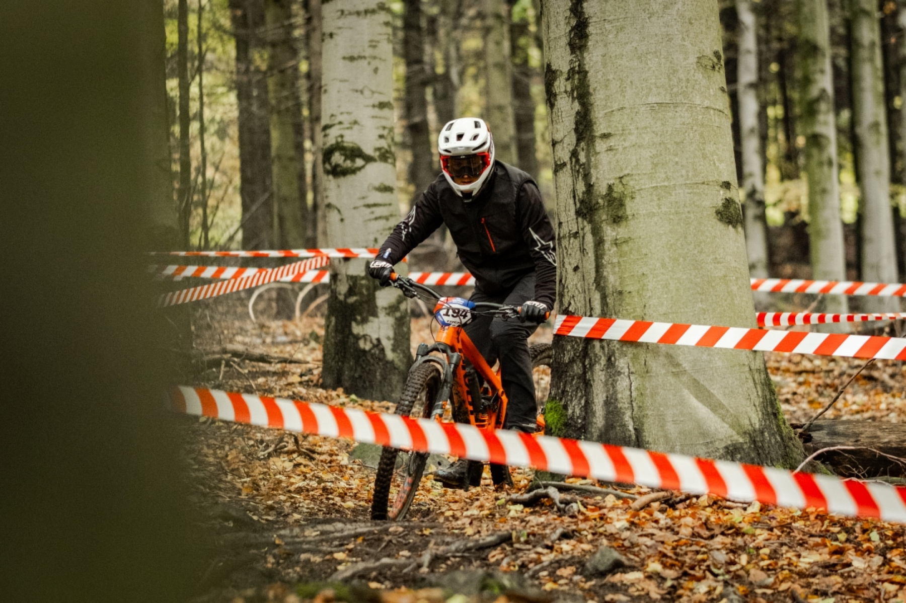 Snow-capped mountains