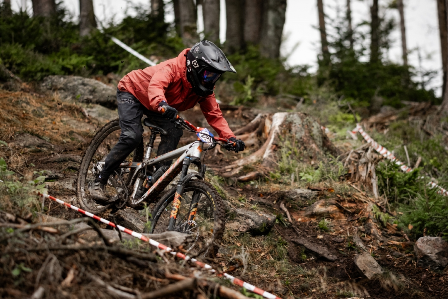 Waterfall in a lush green setting